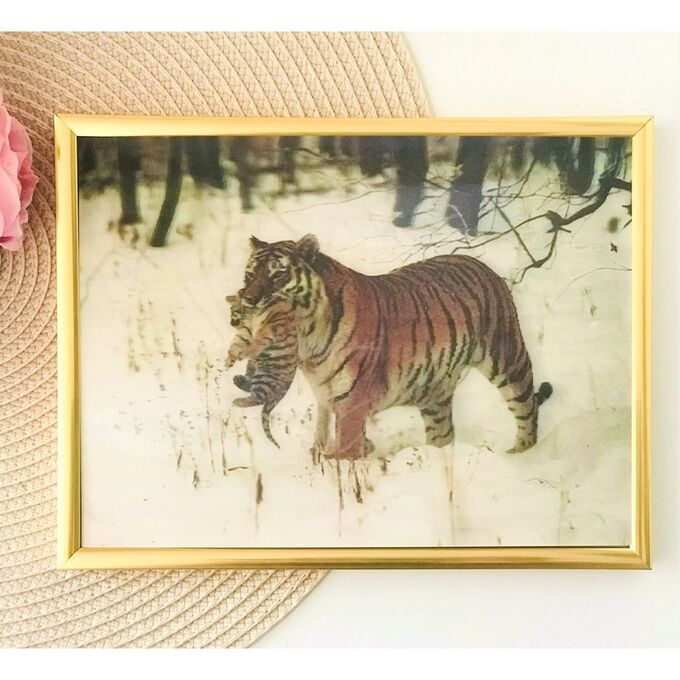 3Д картинка &quot;Тигрица с тигренком зимой&quot; 14,5 х 19,5 см х Т-0016, голографическая открытка с изображением тигров, без рамки