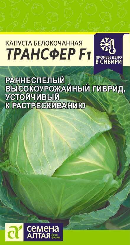 Семена Алтая Капуста Белокочанная Трансфер F1 0,1гр