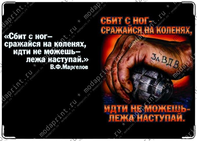 Футболка сбит с ног сражайся на коленях. Лёжа наступай маргелов. Сбит с ног сражайся на коленях идти не можешь лежа наступай. Сражайся на коленях идти не можешь лежа наступай. Сражайся на коленях лежа наступай.