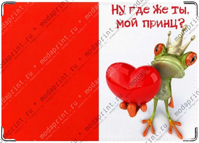 Ищу принца картинки. Принц на белом коне где ты тварь. Где ты мой принц. Смешные шутки 15. Принц на белом коне прикольн.