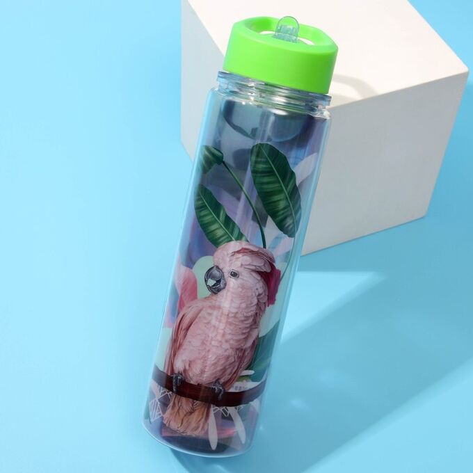 SVOBODA VOLI Бутылка для воды «Попугай», 550 мл