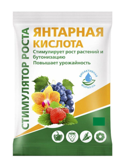 БиоМастер Янтарная кислота, 4г