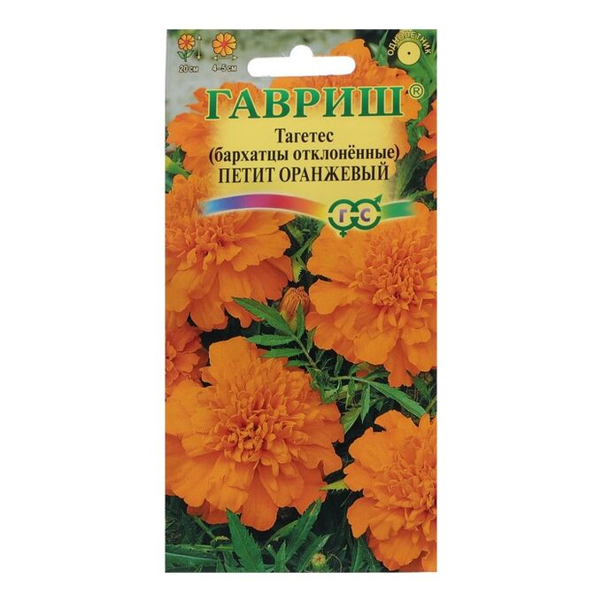Бархатцы Петит оранжевый