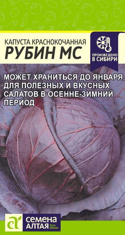 Семена Алтая Капуста Краснокочанная Рубин МС/Сем Алт/цп 0,3 гр.