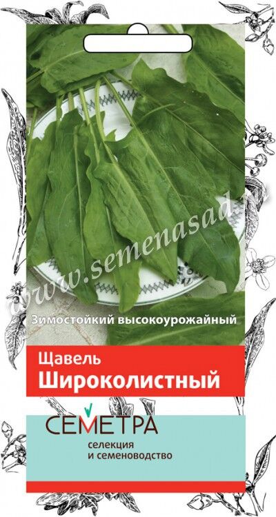 Поиск Щавель Широколистный (Семетра) 1гр