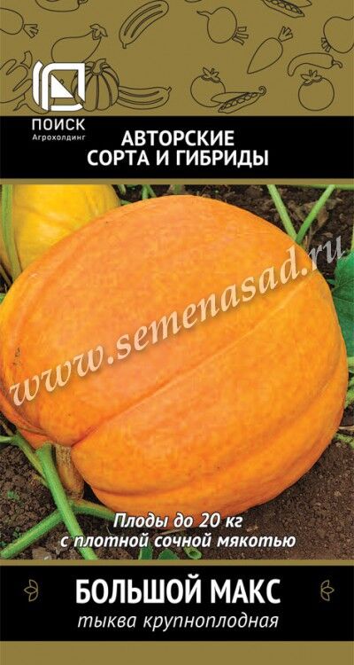 Поиск Тыква крупноплодная Большой Макс (А)(ЦВ) 10шт.