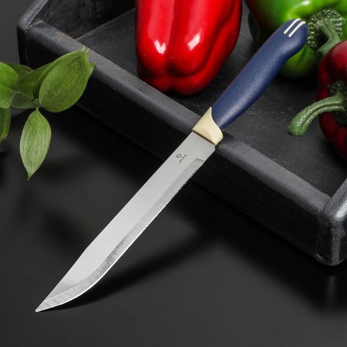СИМА-ЛЕНД Нож для мяса и стейков Доляна «Страйп», лезвие 15 см, цвет синий