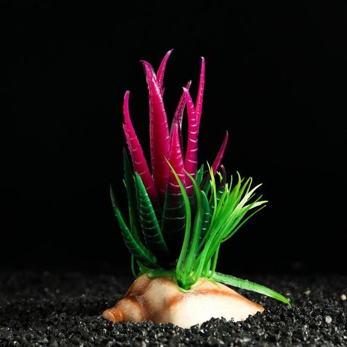 Растение искусственное аквариумное Пижон Аква, на ракушке, 12 х 8 см