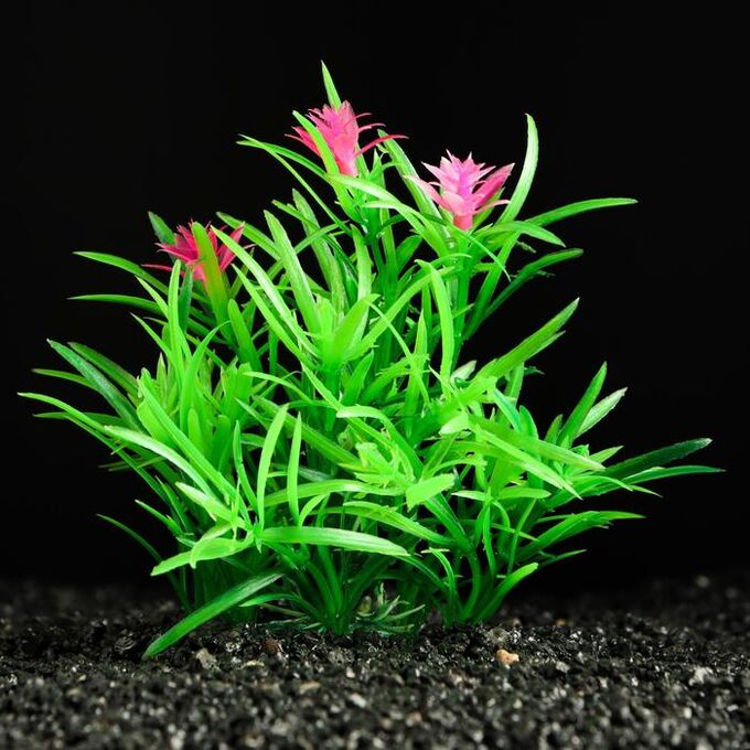 Пижон Аква Растение искусственное аквариумное, 11 см, зелёное