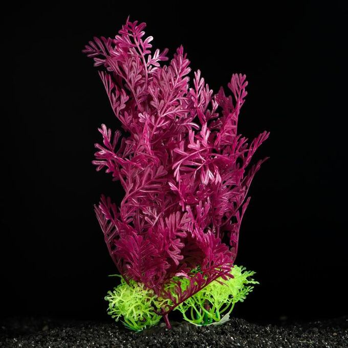 Пижон Аква Растение искусственное аквариумное, 20 см