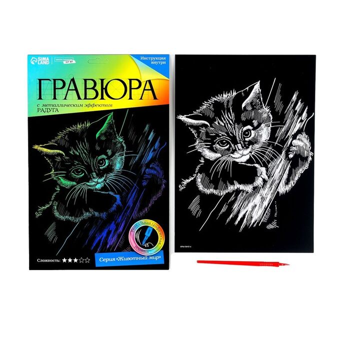 Школа талантов Гравюра «Котёнок» с металлическим эффектом «радуга» А4