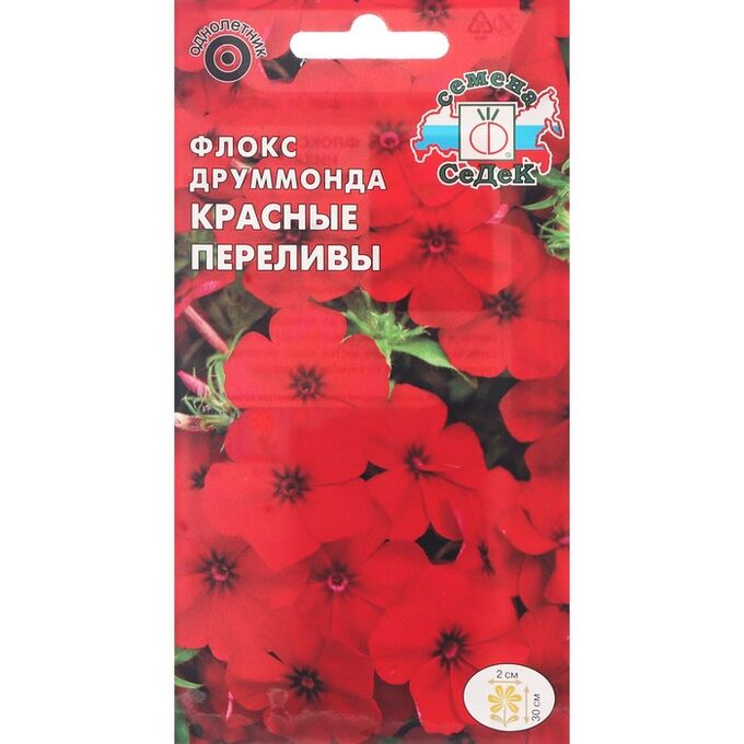 Семена цветов цветок Флокс Красные переливы (друммонда, низкорослый, ярко-красный) . Евро, 0