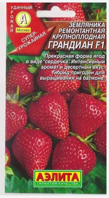 Аэлита Клубника Грандиан F1 (Код: 465)