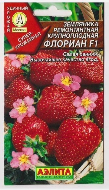 Аэлита Клубника Флориан F1 (Код: 126)