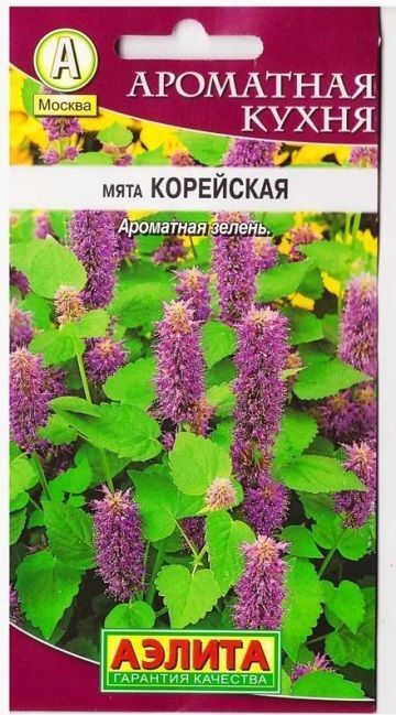 Аэлита Мята Корейская (Код: 69384)