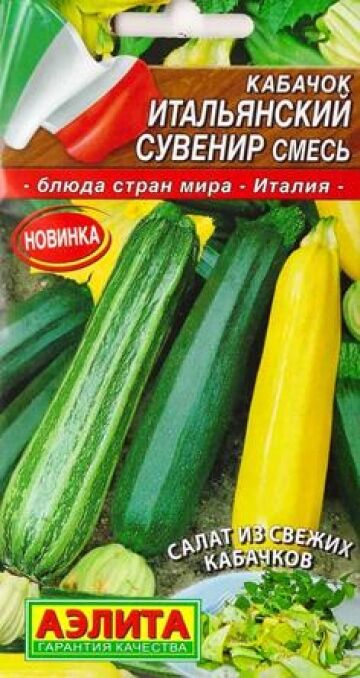 Аэлита Кабачок Итальянский сувенир (Код: 84796)