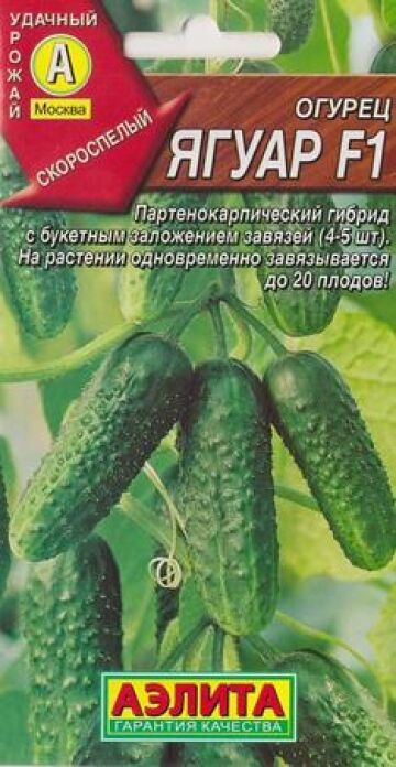 Аэлита Огурец Ягуар F1 (Код: 6275)