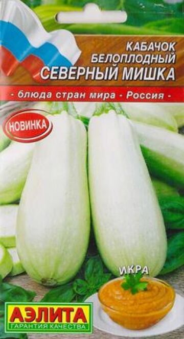 Аэлита Кабачок Северный мишка (Код: 84402)