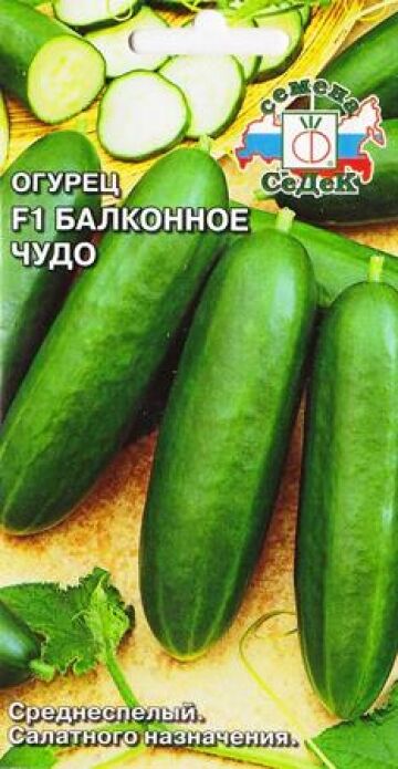 Седек Огурец Балконное чудо F1 (Код: 82038)