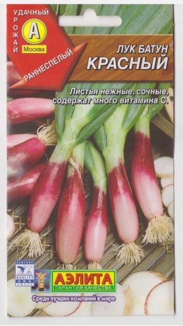 Аэлита Лук Батун Красный (Код: 6528)