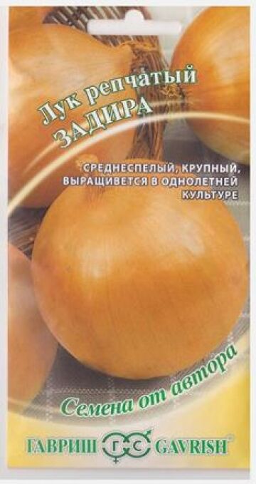 Гавриш Лук репчатый Задира (Код: 81109)