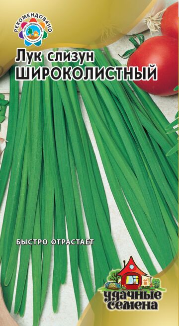 Гавриш Лук слизун Широколистный (Код: 86176)