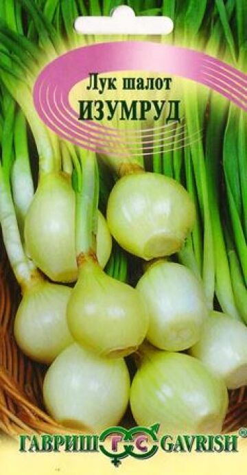 Гавриш Лук шалот Изумруд (Код: 84613)