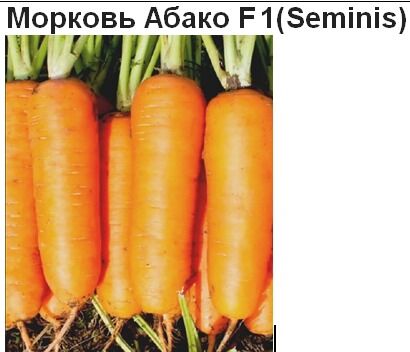 Морковь Абако F1(1 грамм)