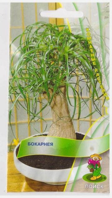 Поиск Бокарнея (Код: 72137)
