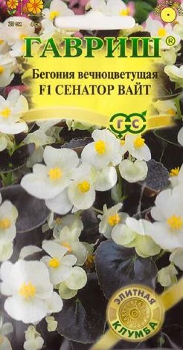 Гавриш Бегония Сенатор Вайт F1 (Код: 82699)