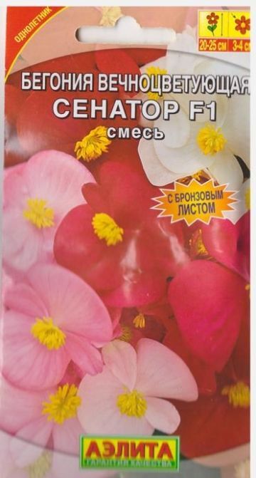 Аэлита Бегония Сенатор Смесь F1 (Код: 7769)