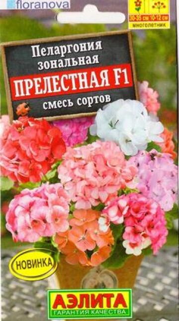 Аэлита Пеларгония Прелестная F1 смесь (Код: 87678)