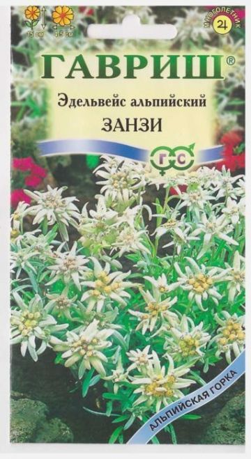 Эдельвейс Альпийский Занзи