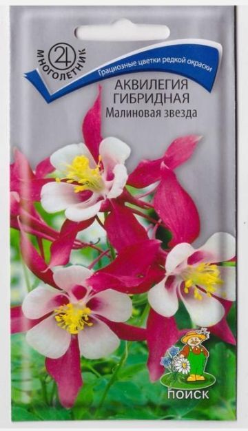 Поиск Аквилегия Малиновая Звезда (Код: 66043)