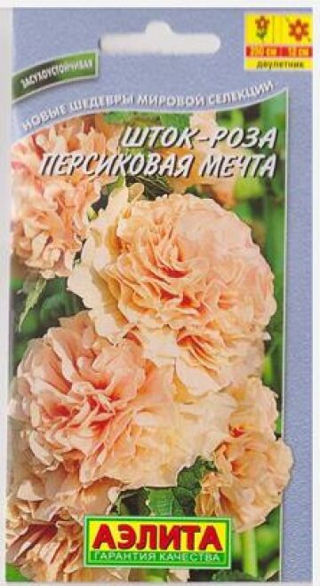 Шток-роза Персиковая мечта (Код: 81723)