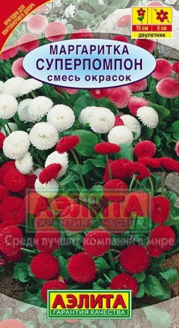Аэлита Маргаритка Суперпомпон смесь (Код: 2943)