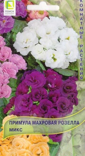 Поиск Примула Розелла Микс (Код: 85734)