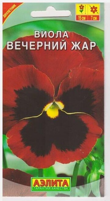 Аэлита Виола Вечерний Жар (Код: 6908)