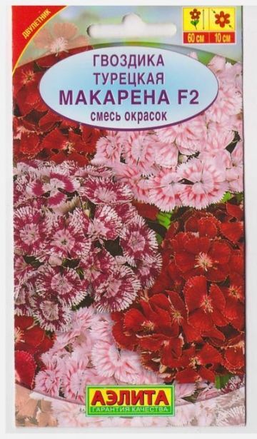Аэлита Гвоздика Турецкая Макарена F2 (Код: 10126)