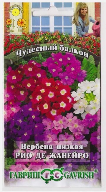 Гавриш Вербена низкая Рио-де-Жанейро (Код: 15611)