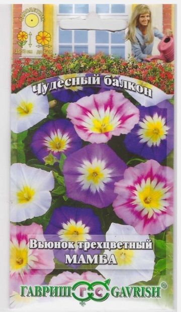 Гавриш Вьюнок Мамба Трехцветный (Код: 9360)
