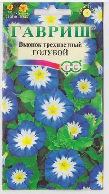 Гавриш Вьюнок Трехцветный Голубой (Код: 1381)