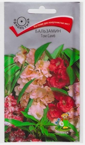 Поиск Бальзамин Том Самб (Код: 65718)