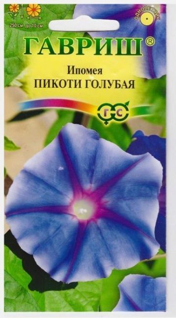 Ипомея голубое блаженство
