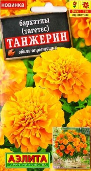 Аэлита Бархатцы Танжер (Код: 85140)