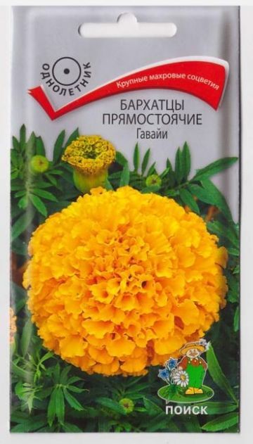 Поиск Бархатцы Гавайи (Код: 65916)