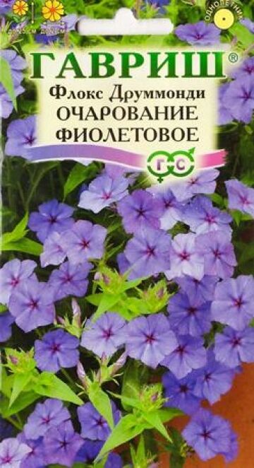 Гавриш Флокс Очарование фиолетовое (Код: 82722)
