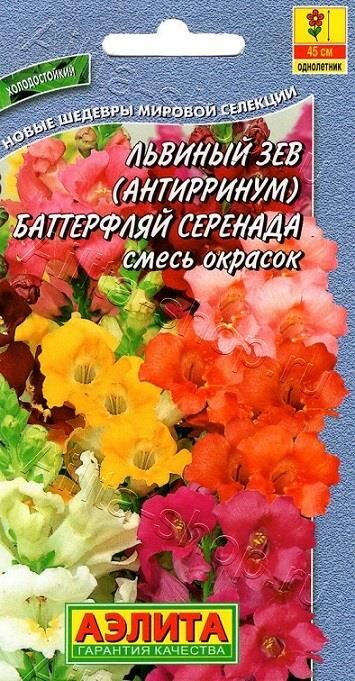 Аэлита Львиный зев Баттерфляй Серенада (смесь) (Код: 8589)