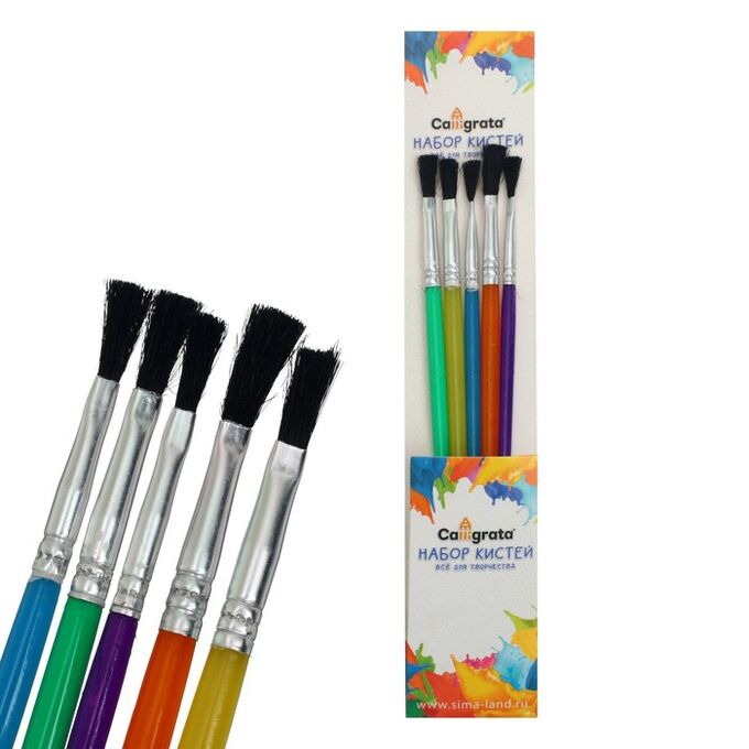 Calligrata Набор кистей нейлон 5 штук, плоские, с пластиковыми цветными ручками