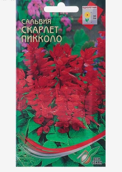 Семена цветов Сальвия &quot;Скарлет Пикколо&quot; Дом семян, О, 25 шт